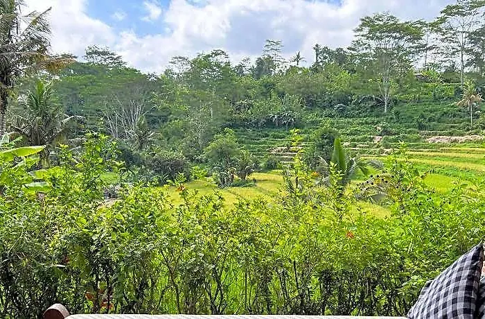 Maison d'hôtes Subak Tabola